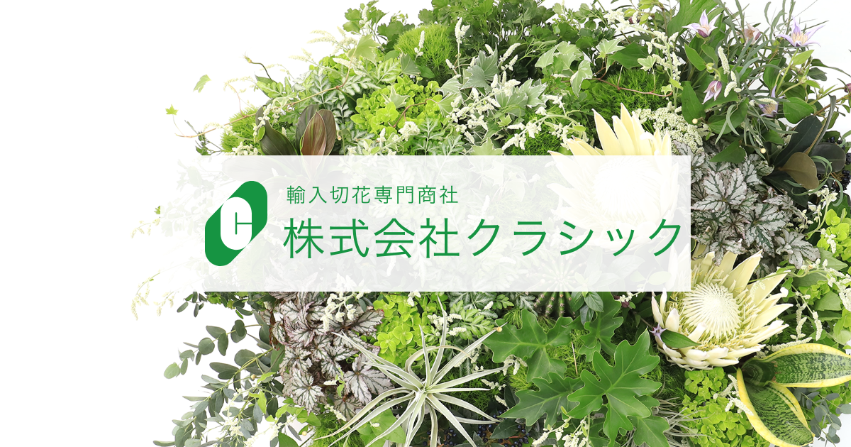 5月 アーカイブ - ページ 30 / 40 - 輸入切花専門商社 株式会社