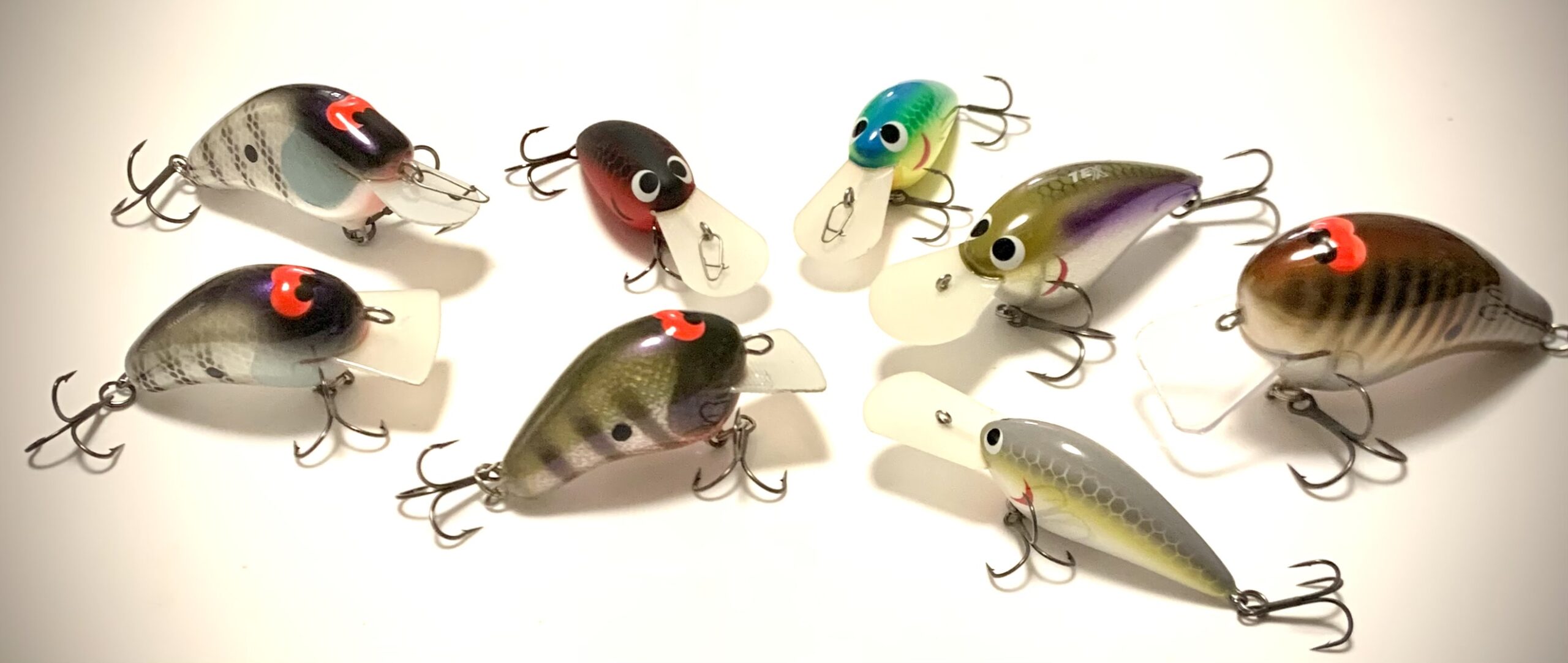 Classic スタッフブログ Vol 93 輸入切花専門商社 株式会社クラシック