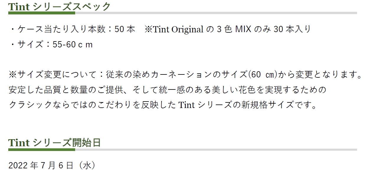 自社染めカーネーション【Tint by CLASSIC】　~「ティント バイ クラシック」 シリーズ開始およびサイズ変更のご案内