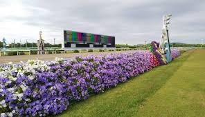 CLASSIC スタッフブログ  Vol.252