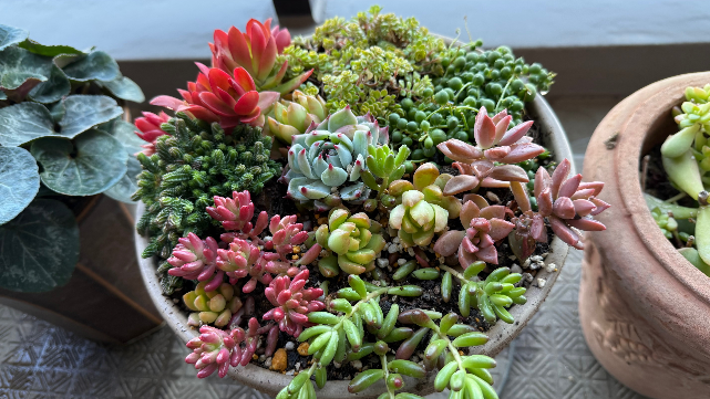 CLASSIC スタッフブログ  Vol.257