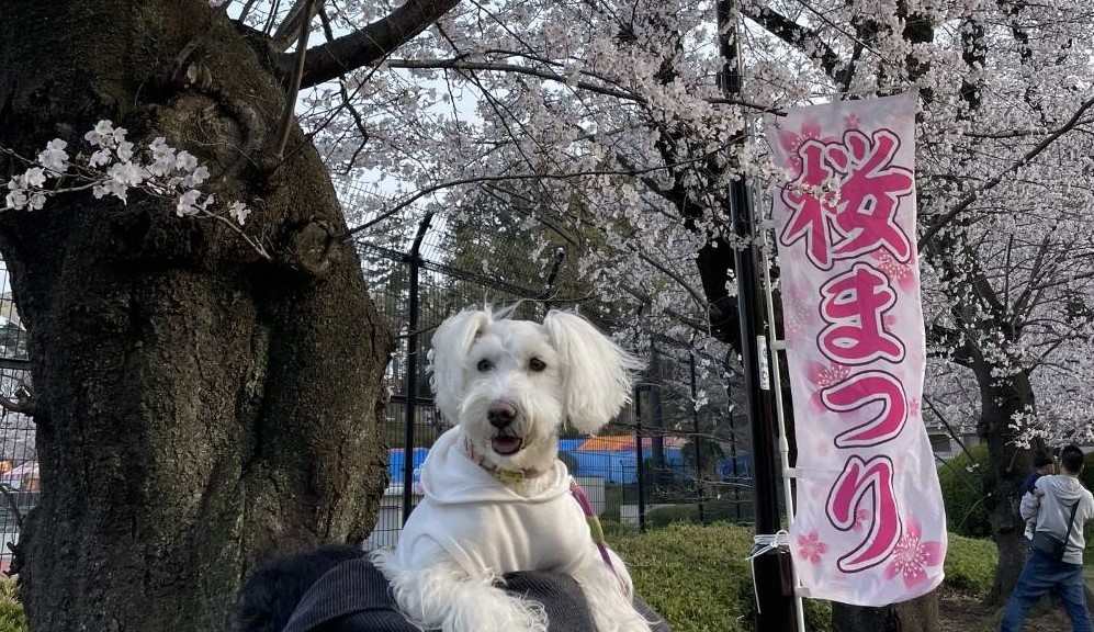 CLASSIC スタッフブログ  Vol.258